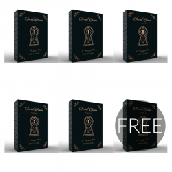 kit plaisir chambre secrète argent niveau 1 pack 5 + 1 gratuit